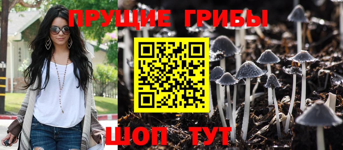 Псилоцибиновые грибы мицелий Владимир