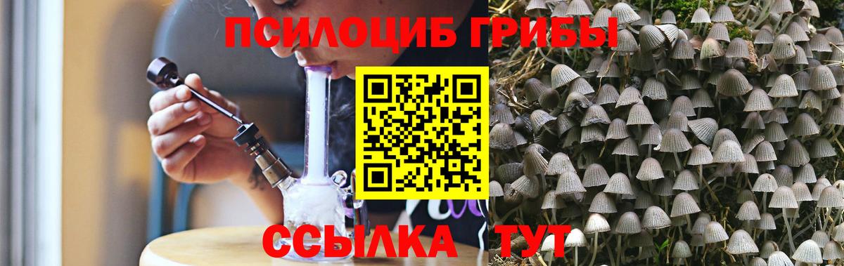 Владимир  Псилоцибиновые грибы Cubensis  дарнет шоп  Вход с VPN 